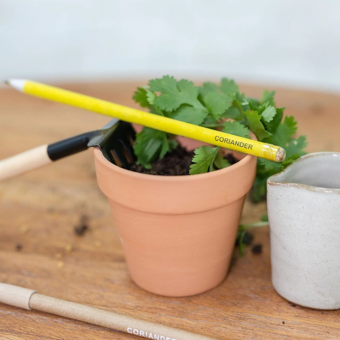Plantable Seed Pencils - Teachers Day