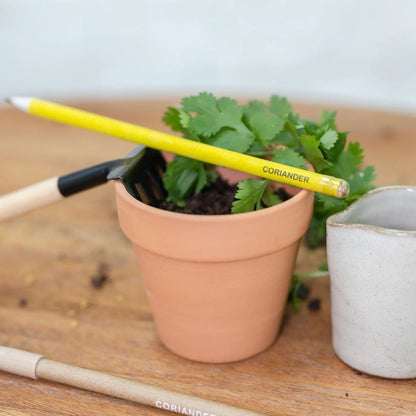 Plantable Seed Pencils - Teachers Day