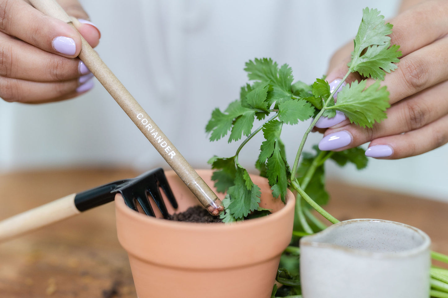 coriander plantable seed pens of purple & pure, plantable gifts