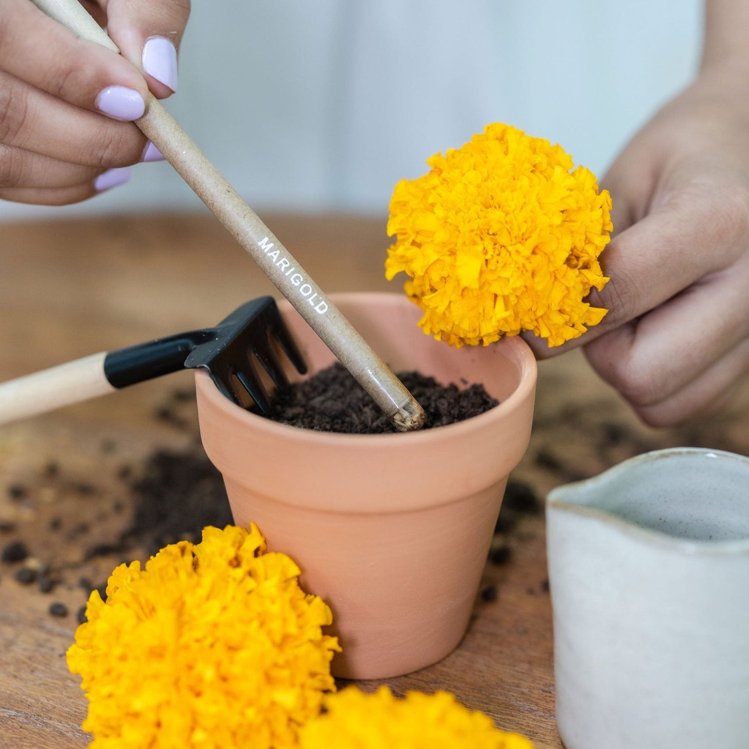 planting the marigold plantable seed pens, plantable gifts