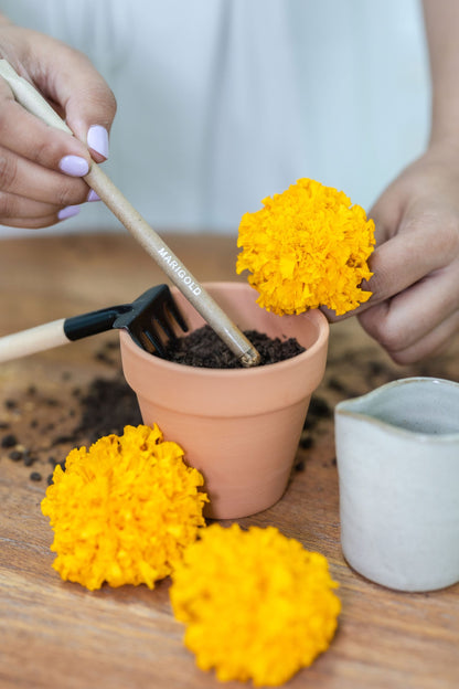 planting the marigold plantable seed pens, plantable gifts