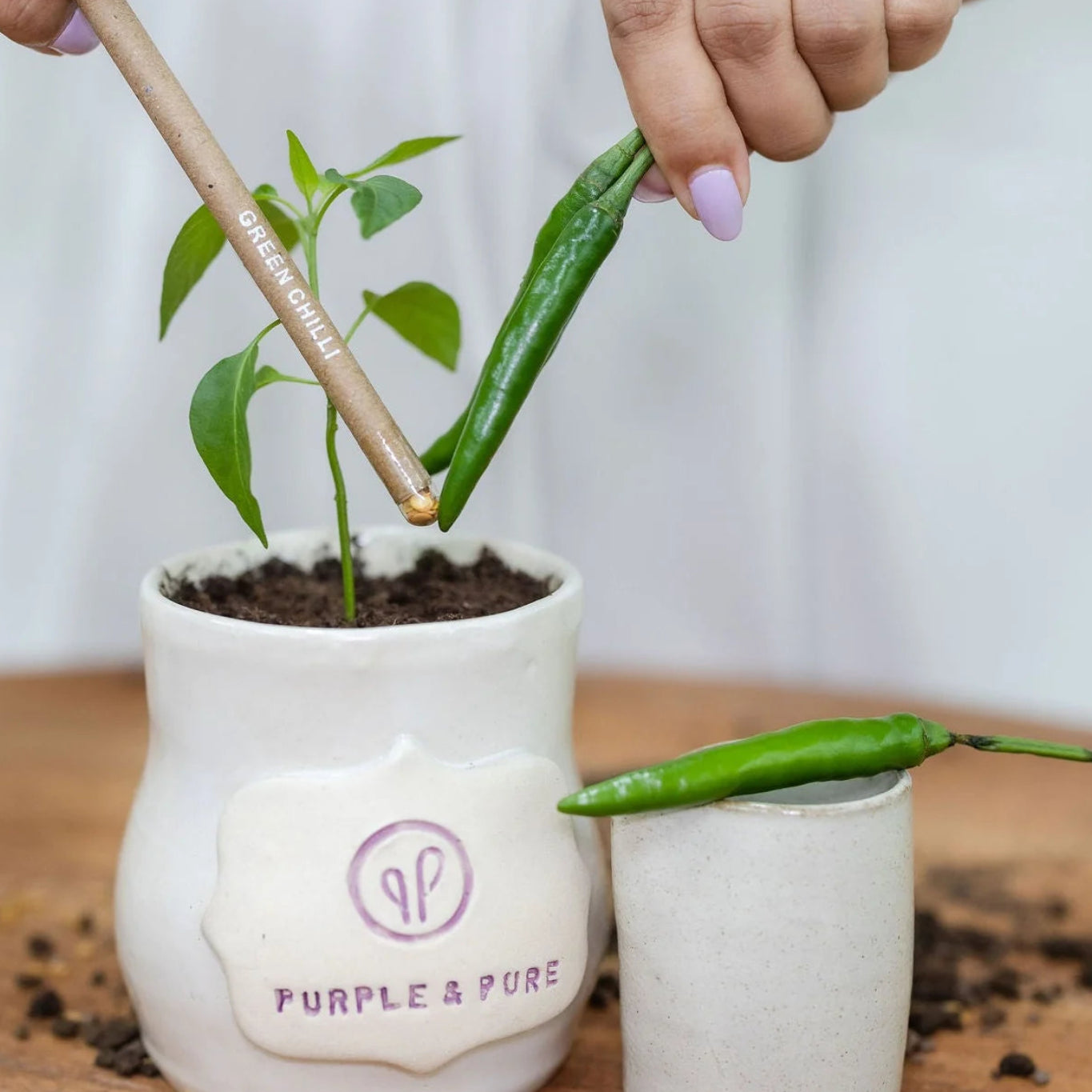 Plantable Seed Pencils - Teachers Day