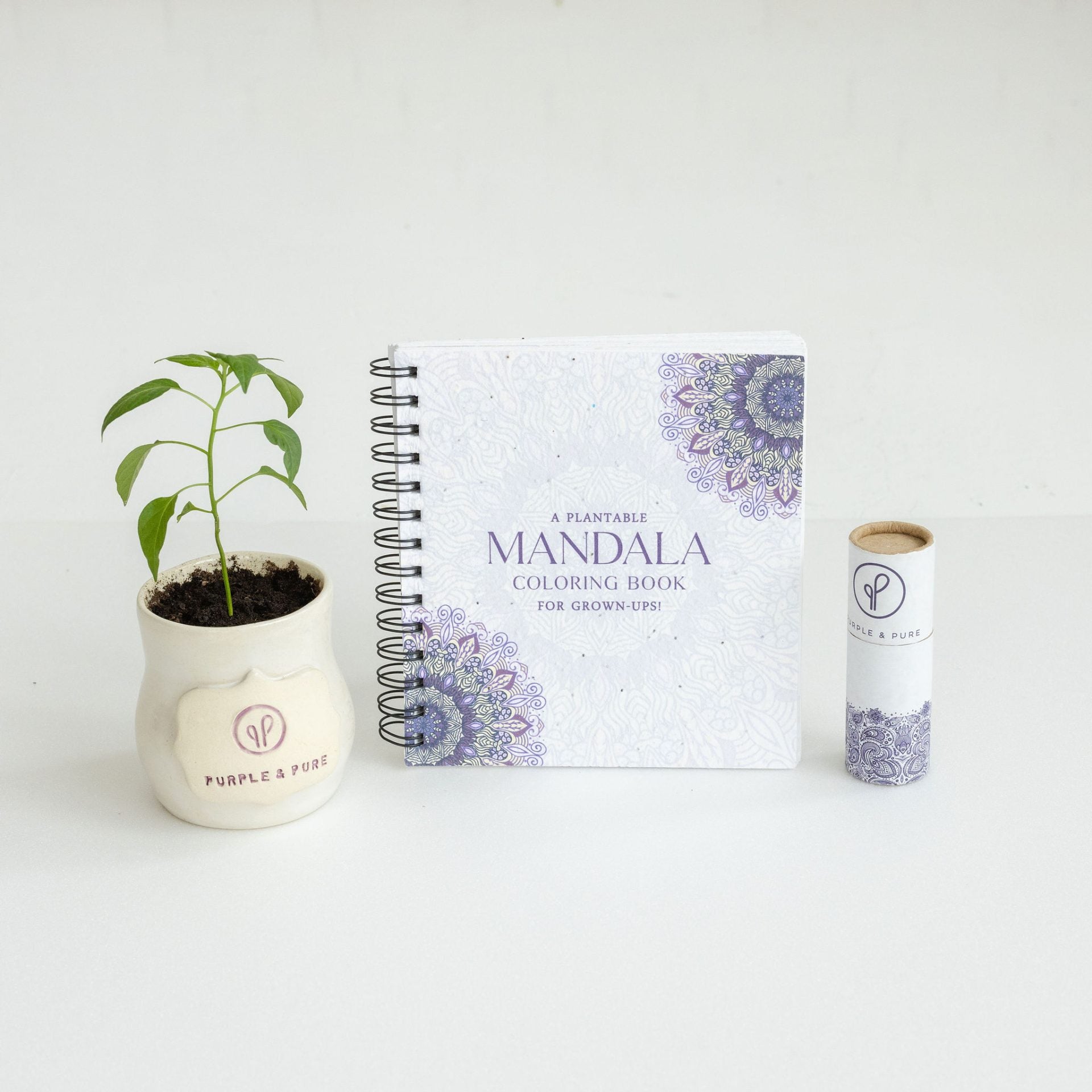 plantable mandala colouring book