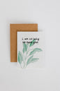 Plantable Greeting card