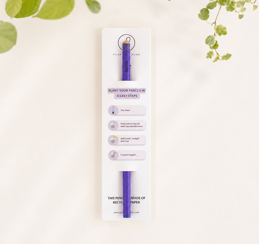 Plantable Seed Pencils - Brinjal