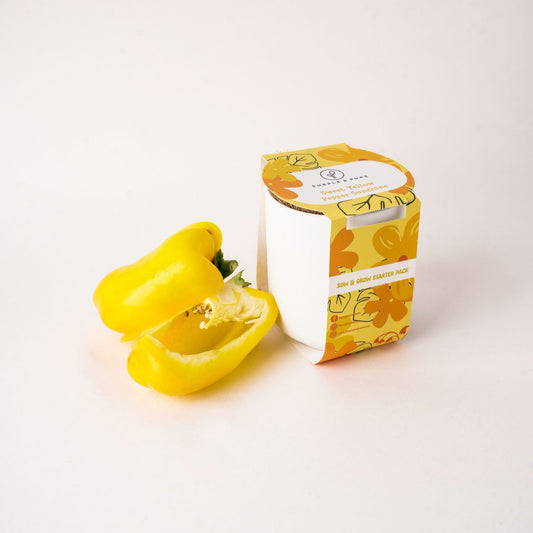 Sow & Grow Starter Pack with Yellow Capsicum