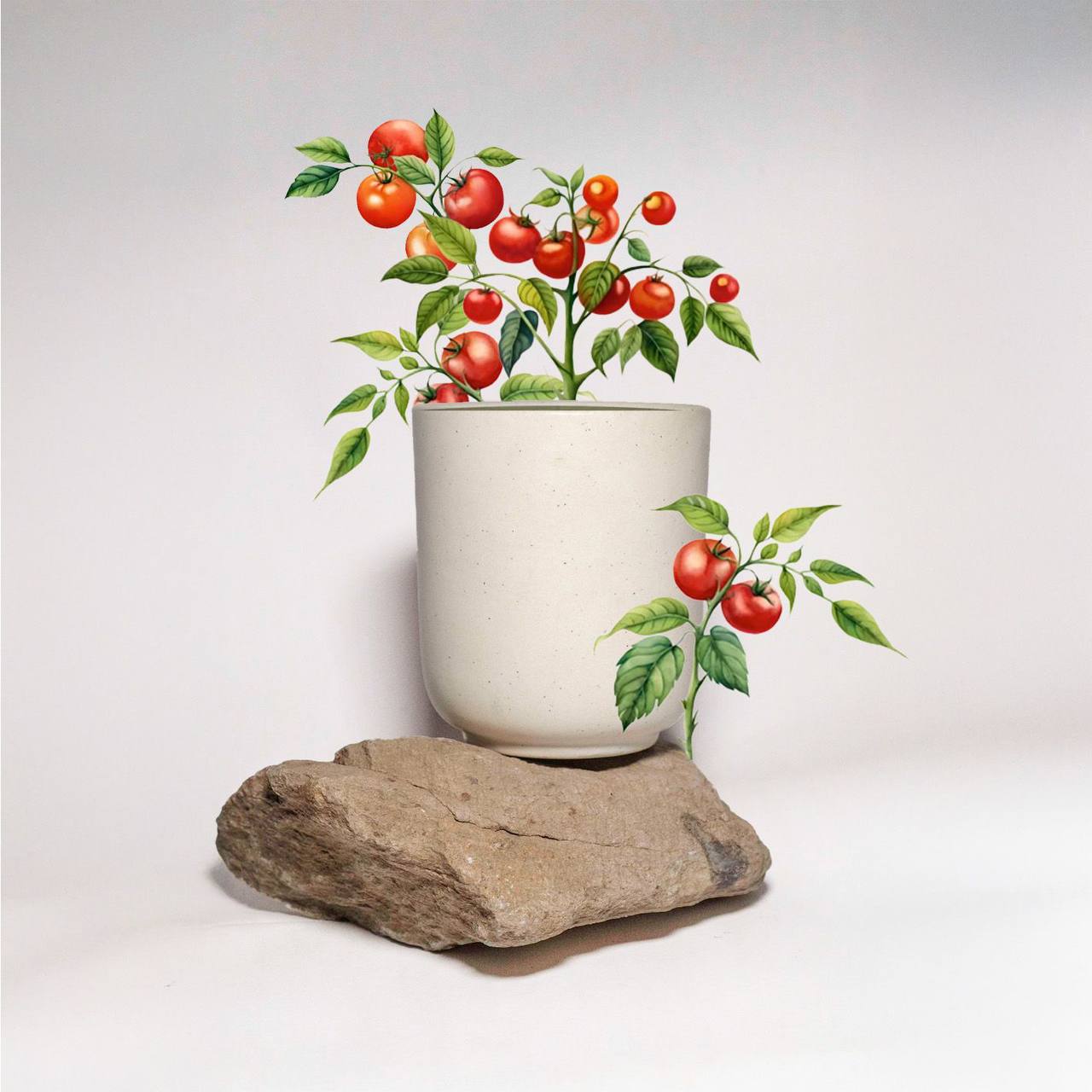 Tomato Plant Art MockUp