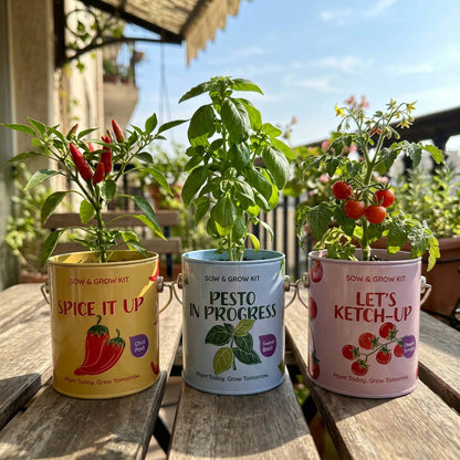 Mini Home Garden Combo
