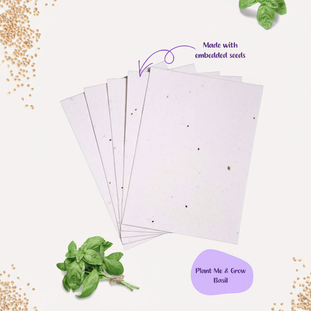 A4 Basil Seed Paper Sheets Pack of 10 | Plantable DIY Craft Paper Singapore | Purple & Pure