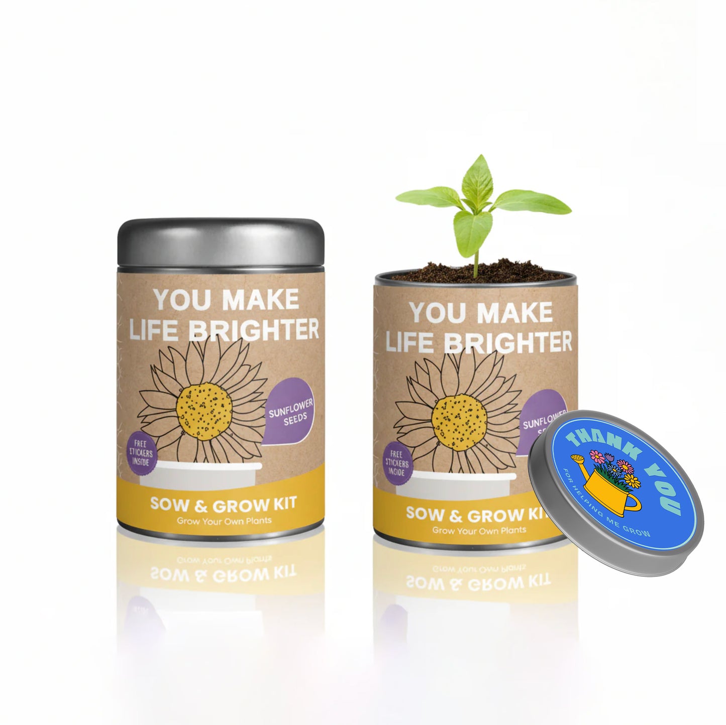 Sow & Grow Kit (Plantable Teacher day Gift)