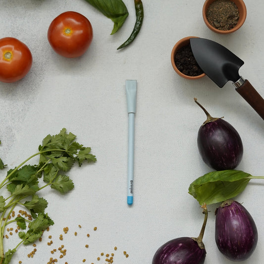 Plantable Seed Pens – Brinjal