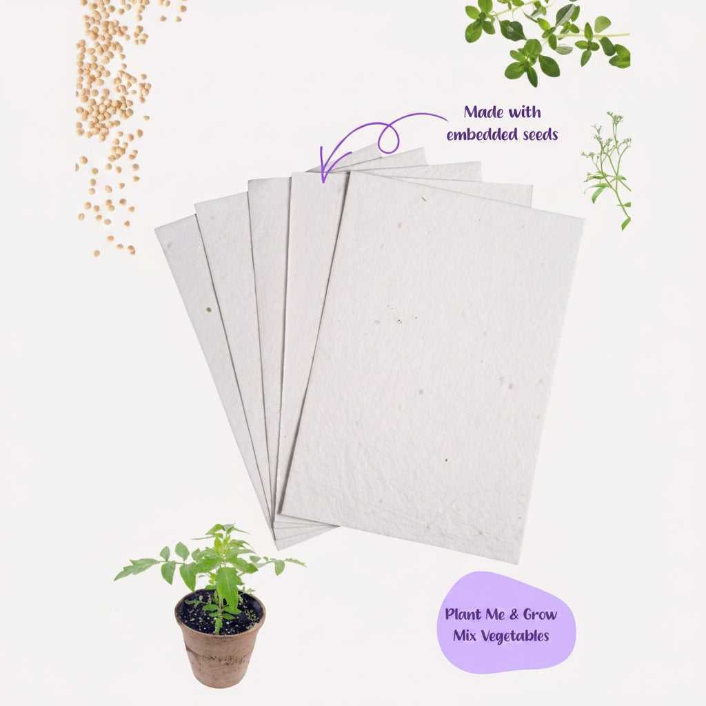 A4 Mix VegetableSeed Paper Sheets Pack of 10 | Plantable DIY Craft Paper Singapore | Purple & Pure