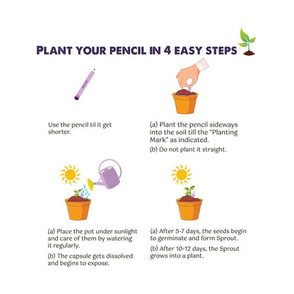 Plantable Seed Pencils - Teachers Day