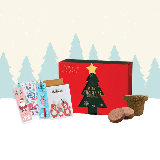 photo_2024-12-04_08-34-18