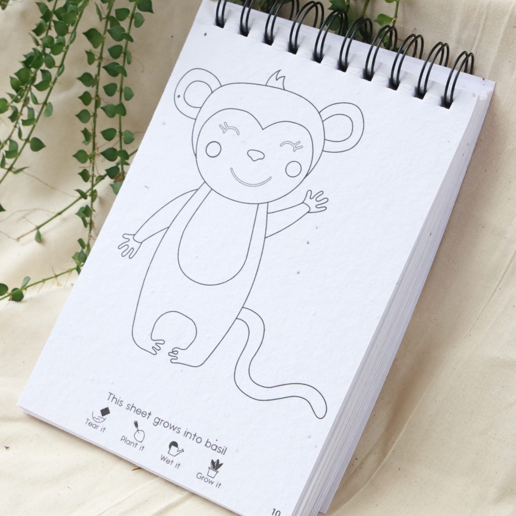 a monkey drawing on plantable colouring book for kids plantable gifts