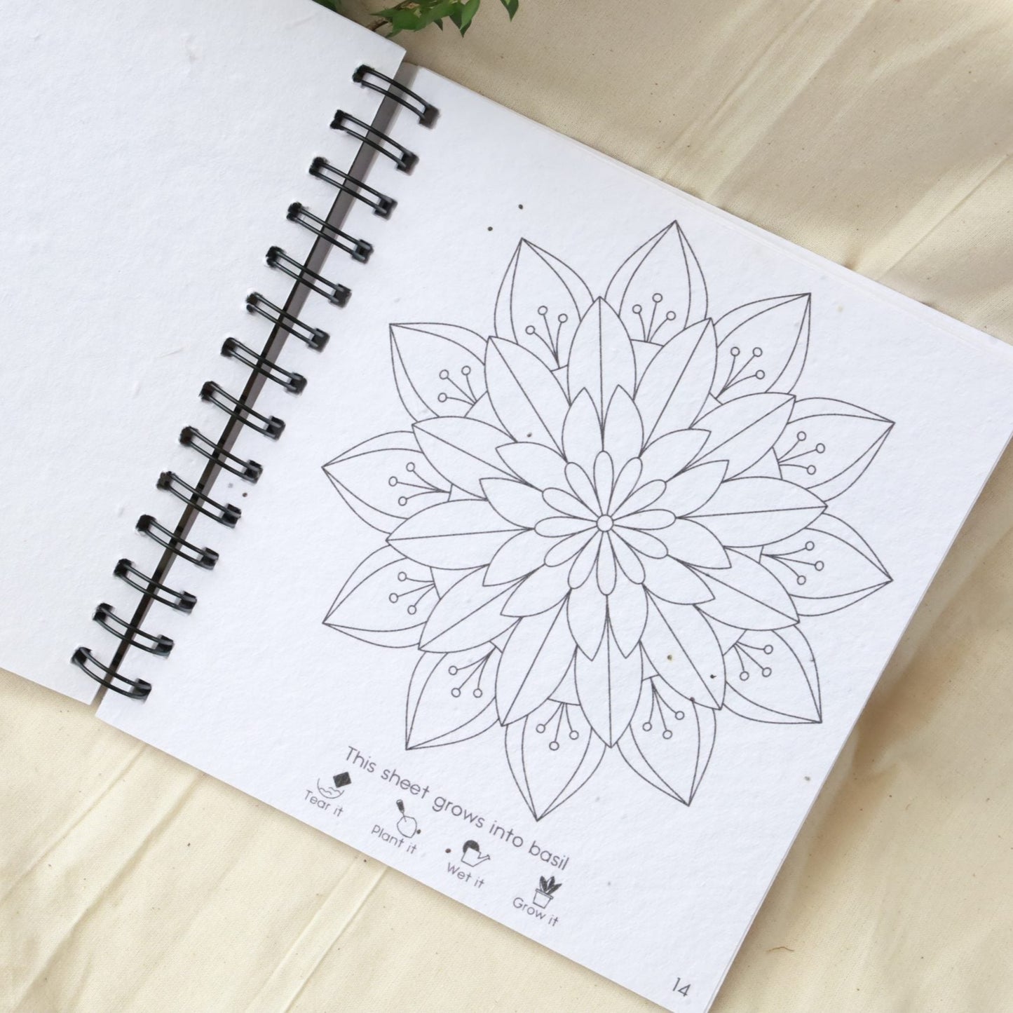purple & pure plantable mandala colouring gift set, plantable gifts